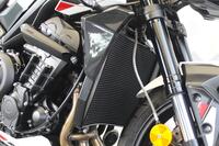 TRIUMPH STREET TRIPLE 765