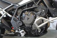 TRIUMPH TIGER 900